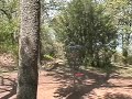 Disc Golf Ace Hole #8 Lake Park, TX Hole in one 1