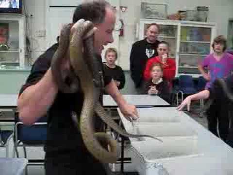 snakeman