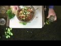 Cucumber and Tomato Salad - Cooking Under Ten - Show #4