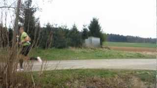 Obermain Marathon 2014