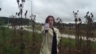 UFO: Unidentified Flowering Object