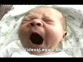 bebe bebe