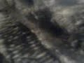 Nordins klockrena backflip!