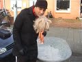 kempi ft klemma r kay   m bizz   alleen vo luv  making of 