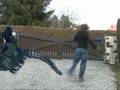 AntOn VS Gozzila