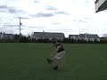 Btwist training