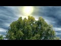 Frederic Chopin Fantasie Impression ( fantasie impromptu ) in GB / Piano Concerto / Klavierkonzert /