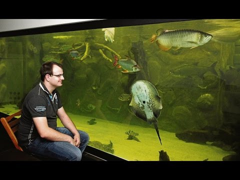 Zierfische: 65.000 Liter: Inhalt von 500 Badewannen ...