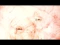 Circlesquare - Sub-Reminisce
