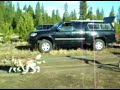 La Pine Oregon Mushing Weekend - Scooter Mania