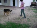 clari, la perra de pitilo