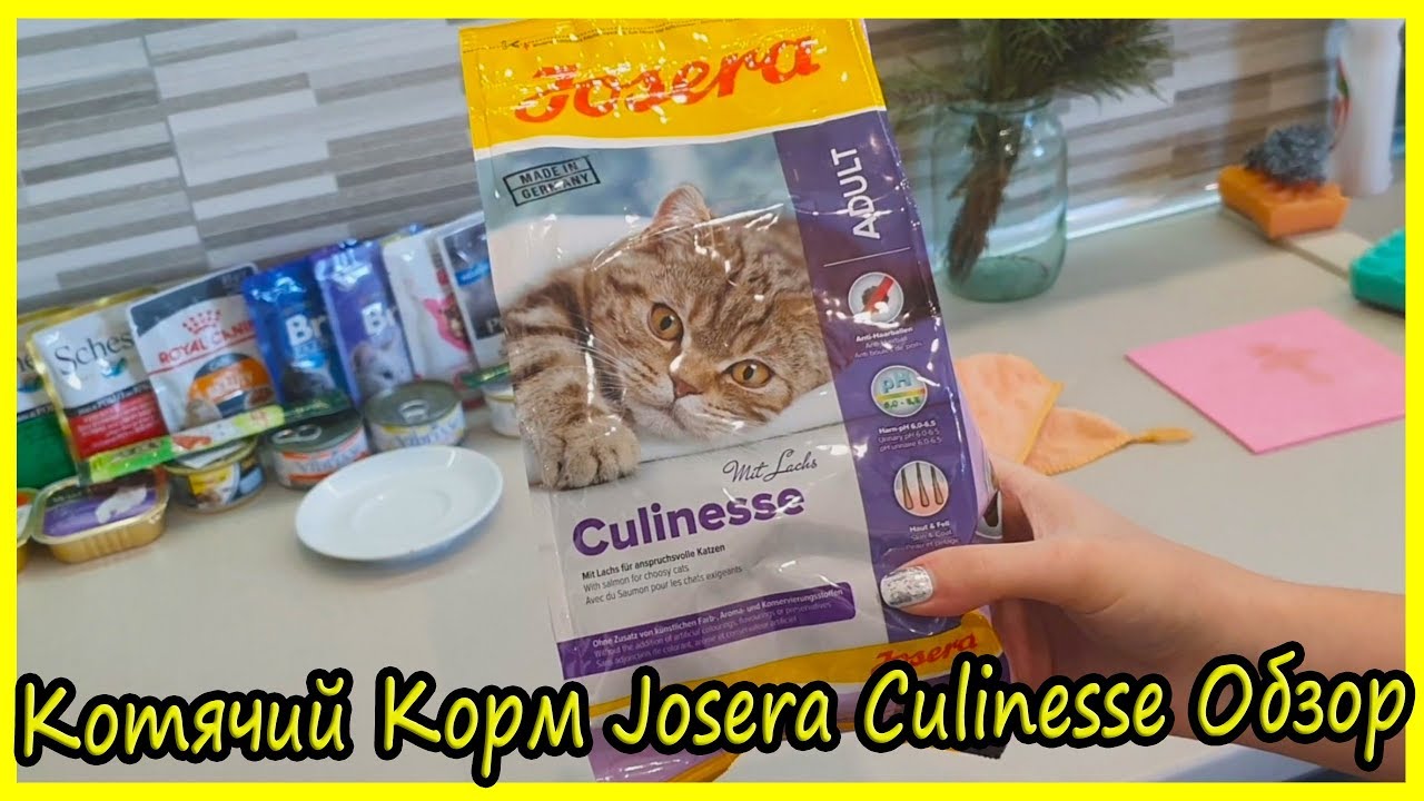 Сухой Котячий Корм Josera Culinesse Обзор. Блог Кота Альфа. Обзор Кормов для Кошек Йозера Кулинезе