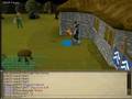 videos de R S D H tester vid