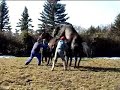 haras de ulzama   documental parte1