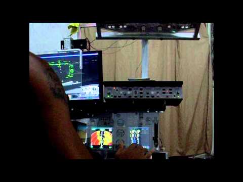 how to turn on the hud in pmdg 737 ngx