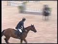 ZYQUITA SR (QUICK STAR X QUITO DE BAUSSY) FOR SALE