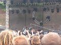 DEBUSTROL - brutal assault