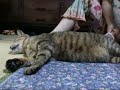 tsuneo puts up his leg 