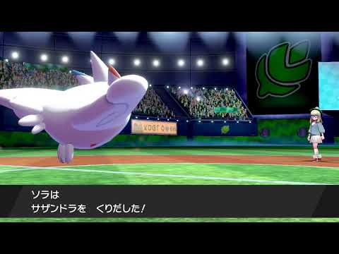 動画