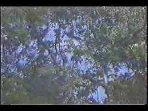 Juaneno Band of Mission Indians 02