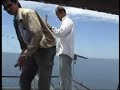 2006年3月30日，好一个万里晴空、碧海蓝天的大好日子，一批为数5人平时甚为热爱深钩之钓友相约而同、浩浩荡荡地前往瓜拉尼亚海口深钩之实地录影拍摄实况。