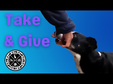 video-linktoworks-Training 'Take' and 'Give' Objects for a Formal...