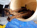 FBI Trains at the Body Farm