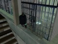 Sentenced for Matches - Skazany za Zapałki S1 Odc.6 Sentenced for Matches - Skazany za Zapałki S1 Odc.6