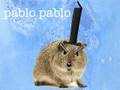 pablopablo