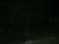 LUISH ! 2° TEMPO