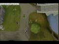 HOW L33TN33BS WIN!!! N33B Ownage