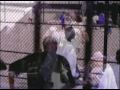 purple city byrdgang