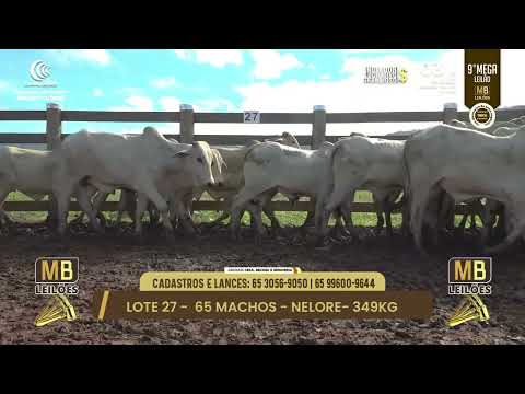 9� MEGA LEIL�O DA MB LEIL�ES