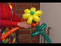 How to Make Balloon Animals : Making a Balloon Teddy Bear & Flower