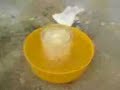 Nitrocellulose Nitrocellulose