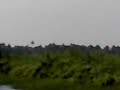 Kumarakom backwater Kumarakom backwater