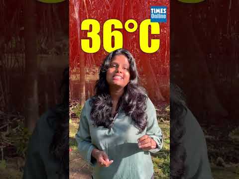 Why Colombo&rsquo;s Wetlands Matter More Than You Think