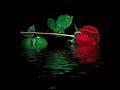 bu-g-n-tekirda-underground-.html