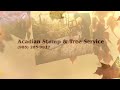 Tree Removal Picayune Acadian Tree Removal and Stump Services,LLC