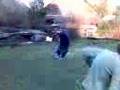 video norci 2