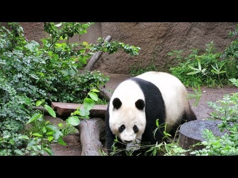 Syndicate Visits San Diego Zoo!