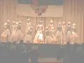 Tanzgarde Bittelbronn Showtanz Antarktika
