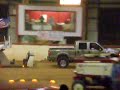 Knick Pulling at ODRA Truck Pulls 6.0 Power Stroke Knick Pulling at ODRA Truck Pulls 6.0 Power Stroke