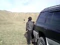 Shavi Kaci kai Kaci