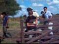 Los-Primos-Hombres