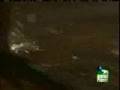 Nature's Vampires - Lampreys