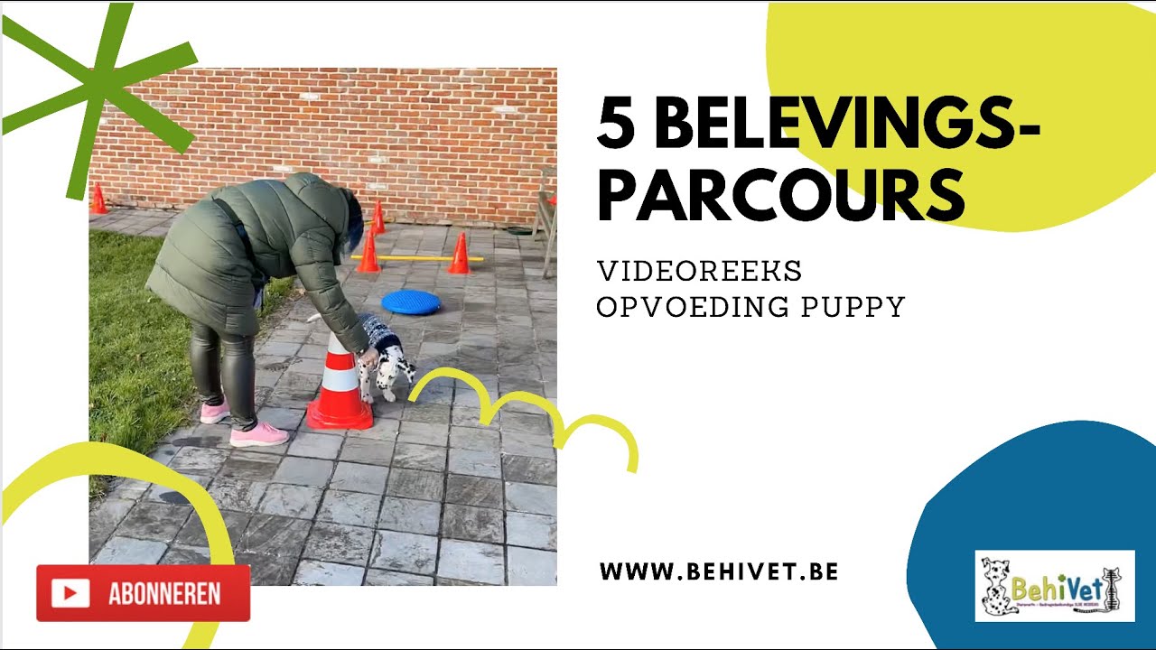 5 Belevingsparcours