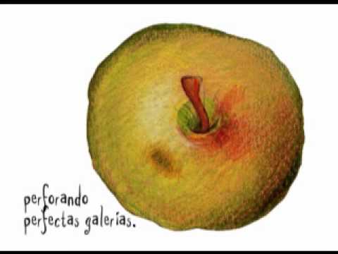 Imagen de previsualización de YouTube