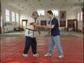 Beijing Style Shuaijiao Technique