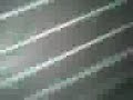 PICHA�AO G D B DINO TATICOS ZONALOCA DI MNB SKITI